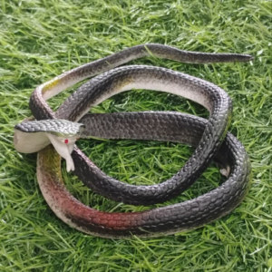 Toy Snake, Pack Of 1
