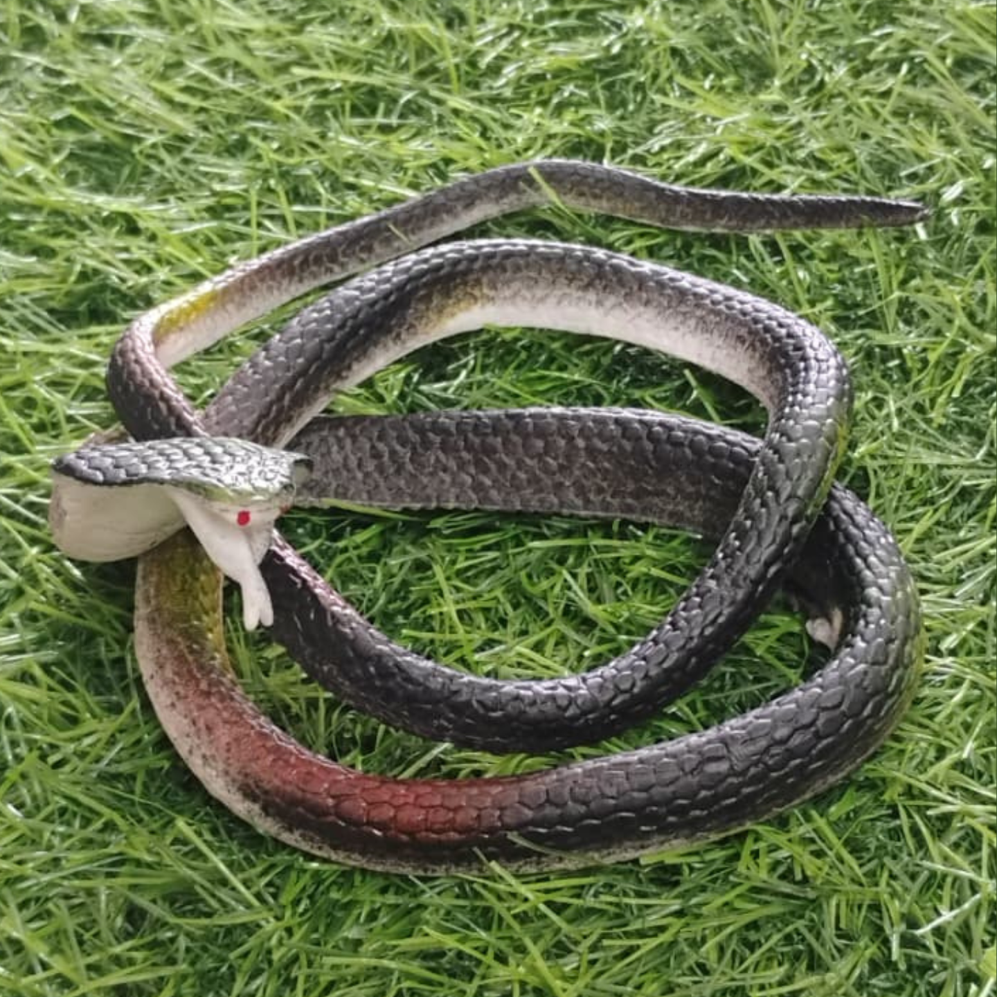 Toy Snake, Pack Of 1